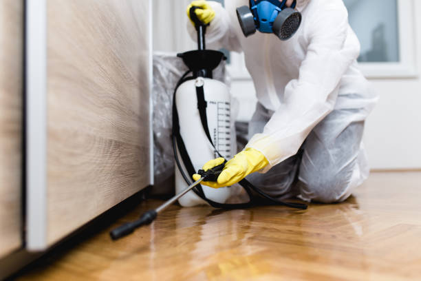 Best Pest Prevention Services  in Naco, AZ