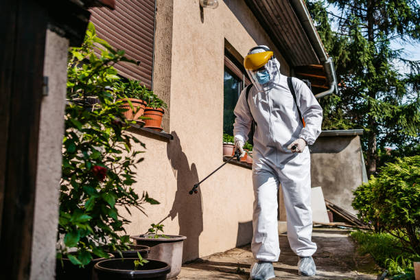 Best Pest Control for Restaurants  in Naco, AZ