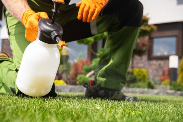 Wildlife Control Services in Naco, AZ