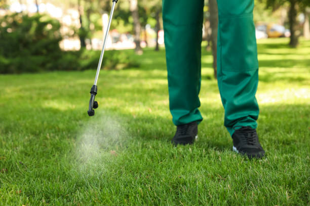 Best Mosquito Control Services  in Naco, AZ