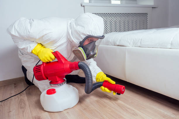 Professional Pest Control in Naco, AZ