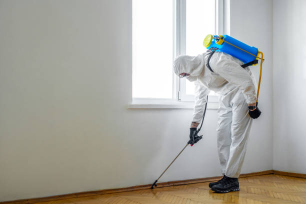 Best Local Pest Control Services  in Naco, AZ