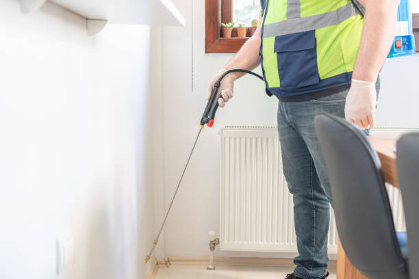 Best Ant Control Services  in Naco, AZ