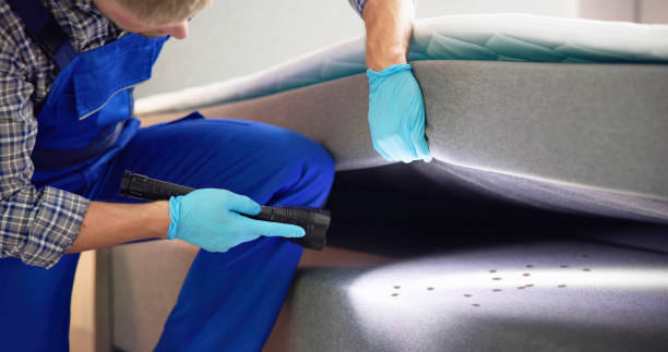 Best Flea Control Services  in Naco, AZ